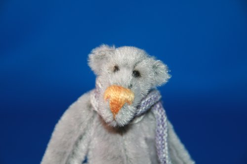 Teddy